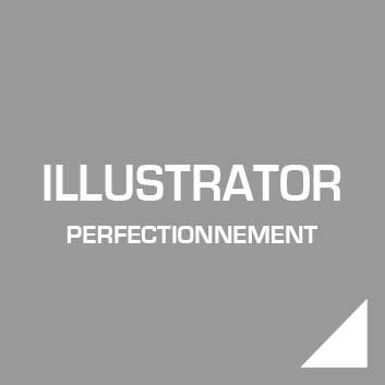 ADOBE ILLUSTRATOR perfectionnement